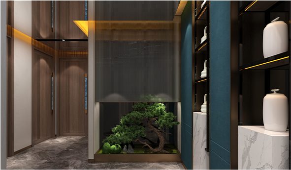 案例展示